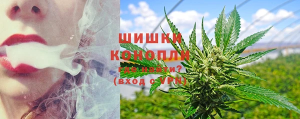 PSILOCYBIN Балахна