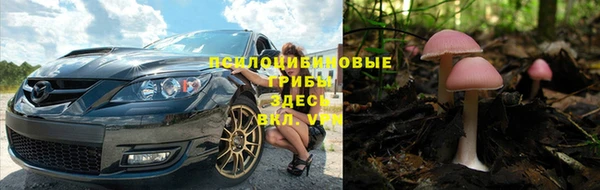 PSILOCYBIN Балахна